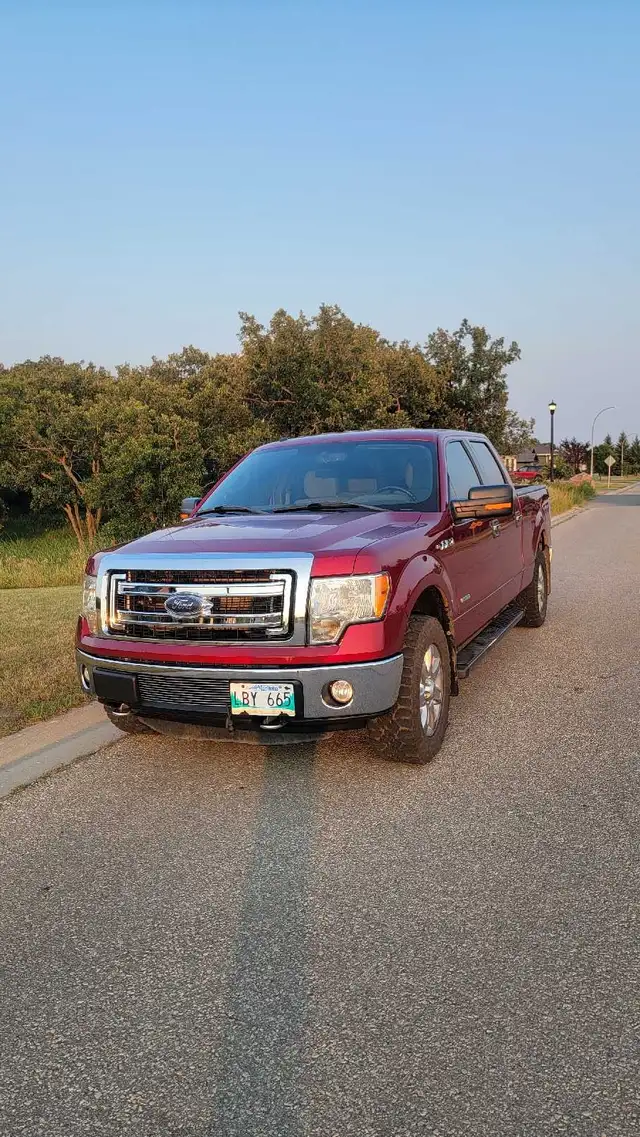 Saftied 2013 Ford F150 xlt 4x4