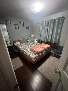 Room for rent - Photo 2