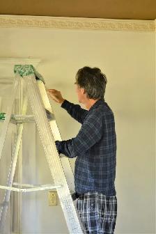Paint and Wall Panel - Photo 9