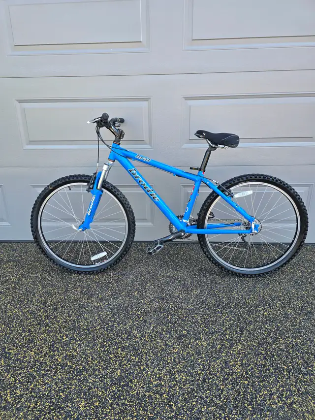 Brodie Moutain Bicycle