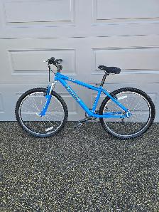 Brodie Moutain Bicycle