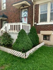 One bedroom apartment for rent in Niagara Falls - Photo 2