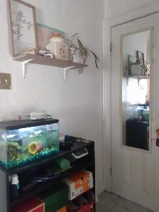 One bedroom apartment for rent in Niagara Falls - Photo 7