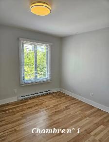 Rénové style Condo 4 e 1/2, a coté de Parc Faubourg, bien placer - Photo 7