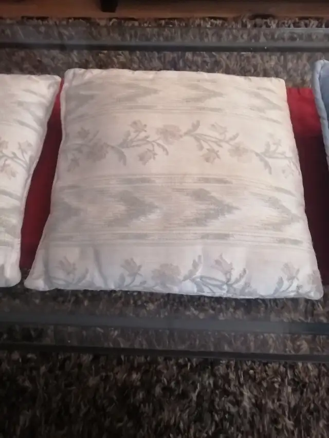 Couch pillows three for $5