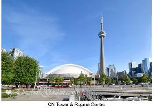 Furnished 2BD 2BA condo downtown Toronto / Available on Jan. 1st