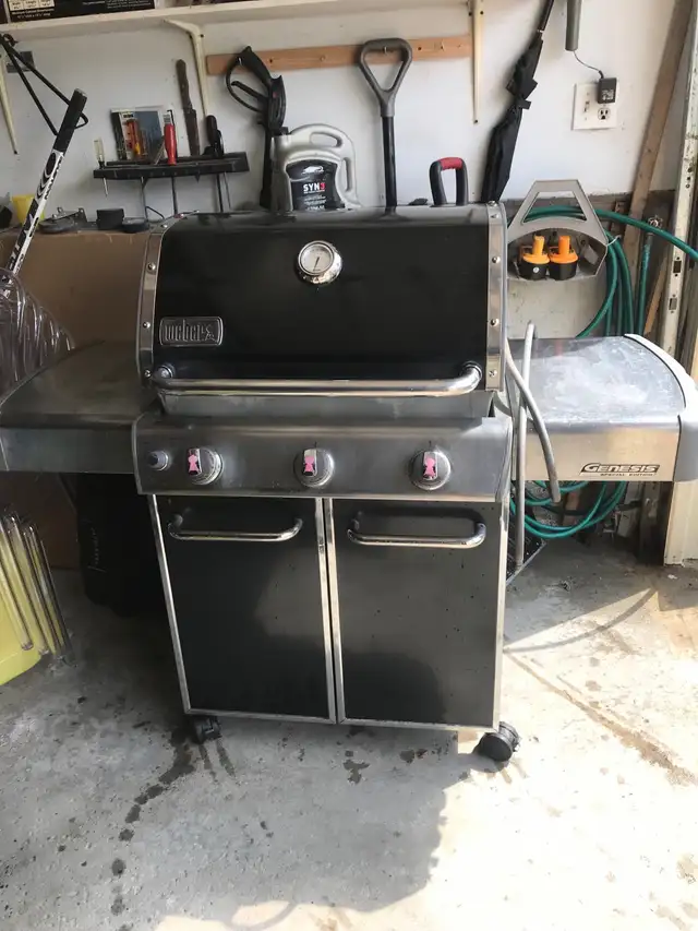 Weber BBQ