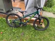 Cannondale 7-Speed Kids Bike