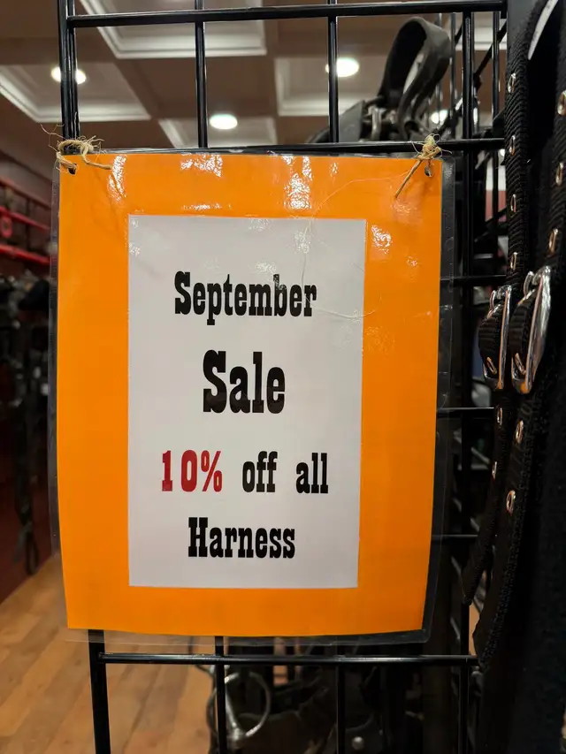 September 10% off Harness