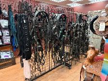 September 10% off Harness - Photo 4