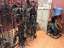 September 10% off Harness - Photo 5