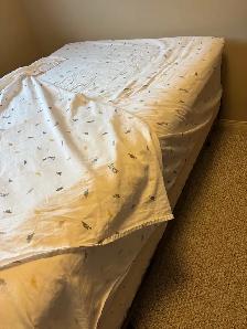 Double/Full Mattress, Box Spring, Mattress pad and sheets - Photo 4