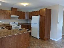 3 BEDROOM 2.5 WASHROOM UPPERLEVEL HOUSE FOR RENT IN   GUELPH - Photo 5