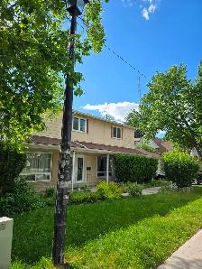 House for Rent - Patterson Street Newmarket $3500   utilities - Photo 2