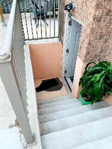 Brampton 02 Bedroom Basement For Rent- Bramalea & Bovaird - Photo 6