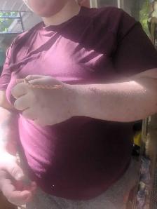 corn snake - Photo 2