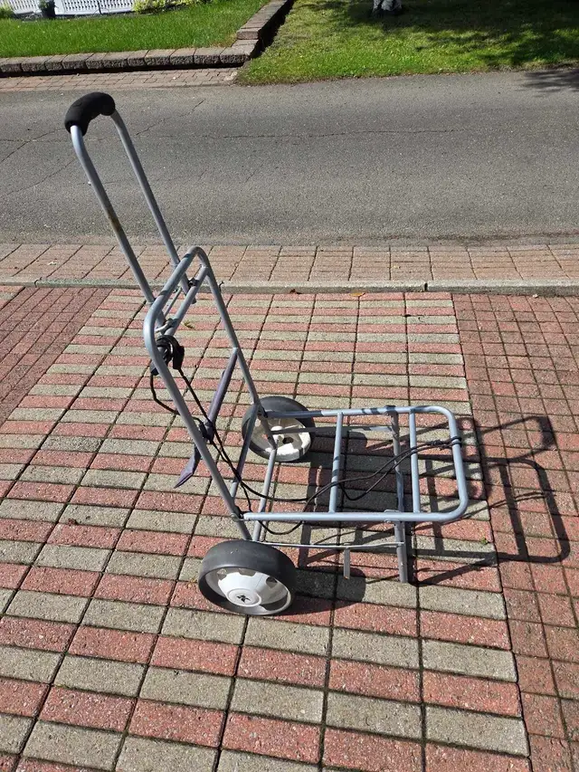 VOITURETTE POUR PETIT TRANSPORT