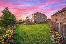 3-BEDROOM BASEMENT FOR RENT, BRAMPTON EAST FROM NOV 1st - Photo 7