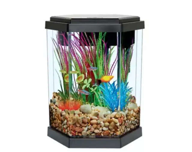 2 Gallon Hexagon Fish Tank made by Top Fin