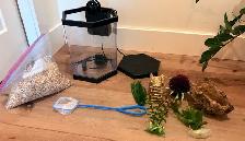 2 Gallon Hexagon Fish Tank made by Top Fin - Photo 2