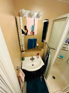 Downtown Studio- $1280 close to U of G at Wellington & Gordon St - Photo 7