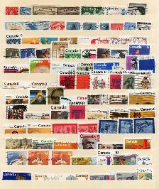 Canada Stamp Collection on Stock Sheets - Photo 5