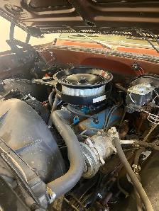 Unmolested 114,000km Survivor - Photo 8