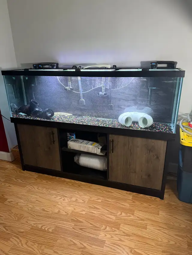 125 Gallon aquarium setup and extra supplies