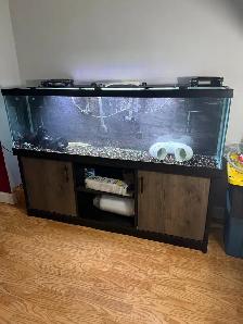 125 Gallon aquarium setup and extra supplies