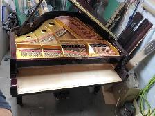 Votre piano, votre amour et votre passion - Photo 5
