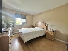 Appartement 4 ½ à louer Lévis février 2026 - Photo 7