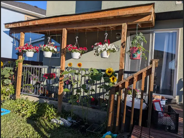 1 Bedroom Basement Apartment