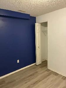 1 Bedroom Basement Apartment - Photo 4
