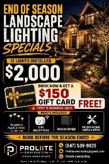 12 Landscape Lights