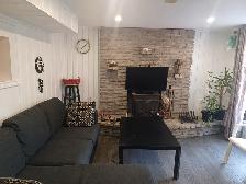 Walkout 1 Bedroom Basement Apartment
