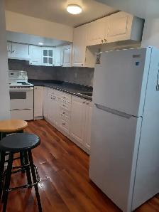 Walkout 1 Bedroom Basement Apartment - Photo 5