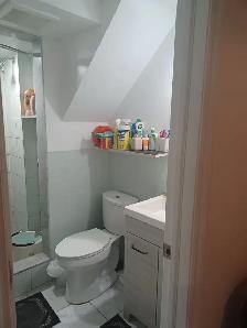Walkout 1 Bedroom Basement Apartment - Photo 9
