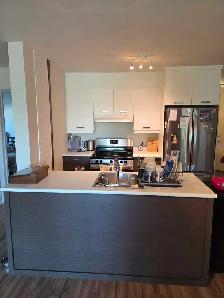 3 1/2 Apt for rent - Photo 10
