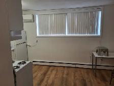 BACHELOR APT., OCT./NOV. 1, $1,150.00 PER MTH, PLUS HYDRO. - Photo 6
