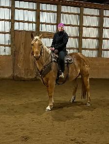 6 year old Palomino AQHA gelding - Photo 7