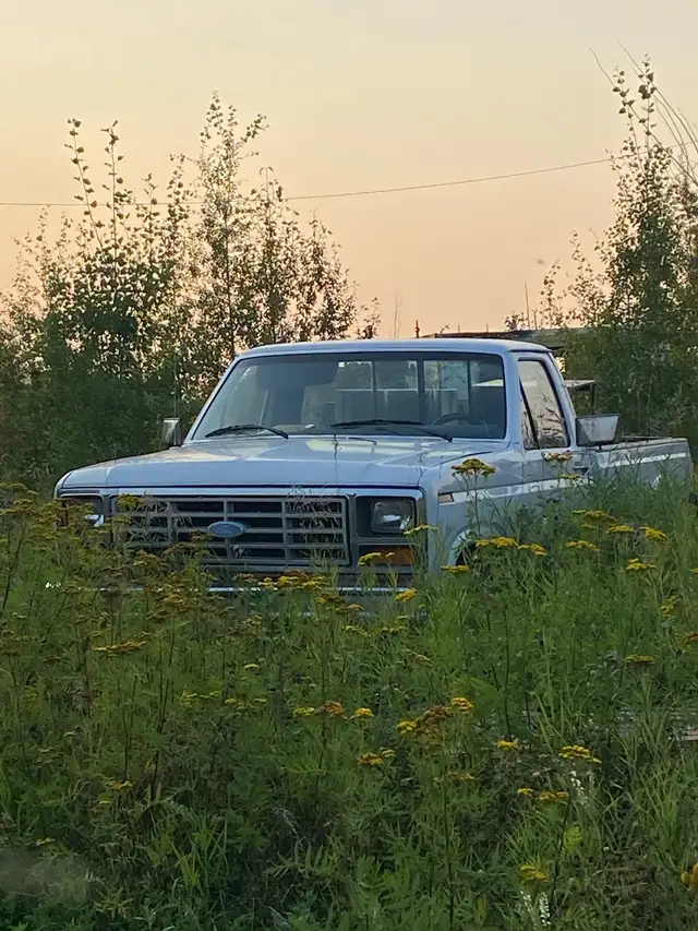 86 F-150 4x4