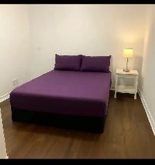 2 Bedroom, 1 Bathroom sept entr @ Sq1 - Photo 2