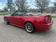 2000 Ford Mustang GT Convertible - Photo 9