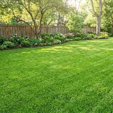 Pro Lawn Care Services
