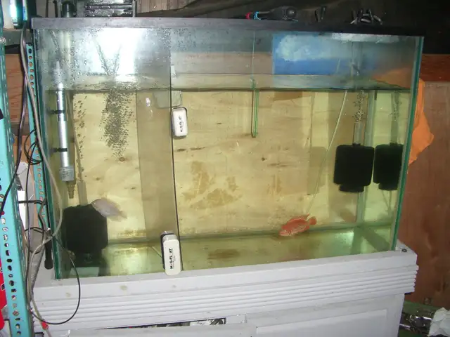 MOVING SALE TANK, STAND ,AQUA CLEAR FILTER $130