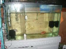 MOVING SALE TANK, STAND ,AQUA CLEAR FILTER $130
