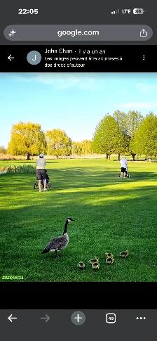 Plongeur recherché(e) au Golf des îles de Boucherville - Photo 3