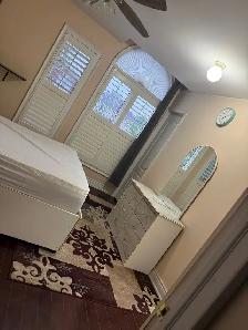 1 Bedroom   Private Bathroom for Rent - Brampton | $600/month - Photo 5
