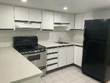 Newly Renovated 2 Bedroom Apartments Available - Photo 3