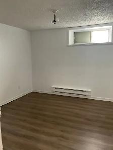 Newly Renovated 2 Bedroom Apartments Available - Photo 5